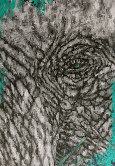 Turquoise